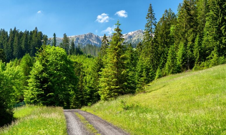 low-tatras-mountains-from-janska-valley-slovakia